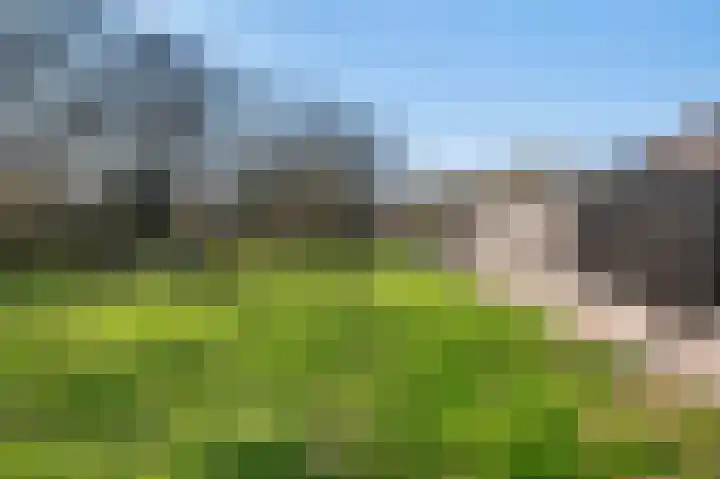 Kievitstraat 47 Goor thumbnail 7