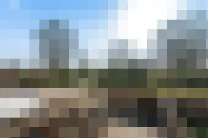 Kievitstraat 47 Goor thumbnail 8