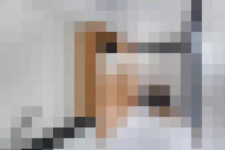 Kievitstraat 5 Numansdorp thumbnail 18
