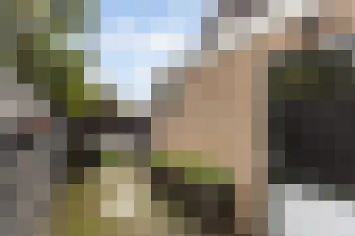 Kievitstraat 5 Numansdorp thumbnail 33
