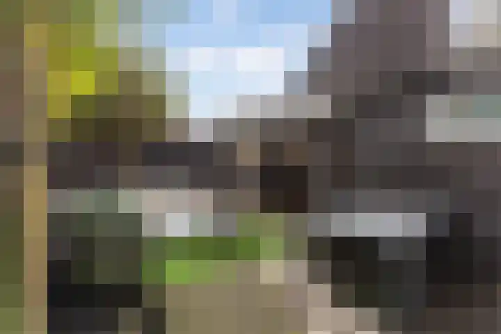 Kievitstraat 5 Numansdorp thumbnail 34