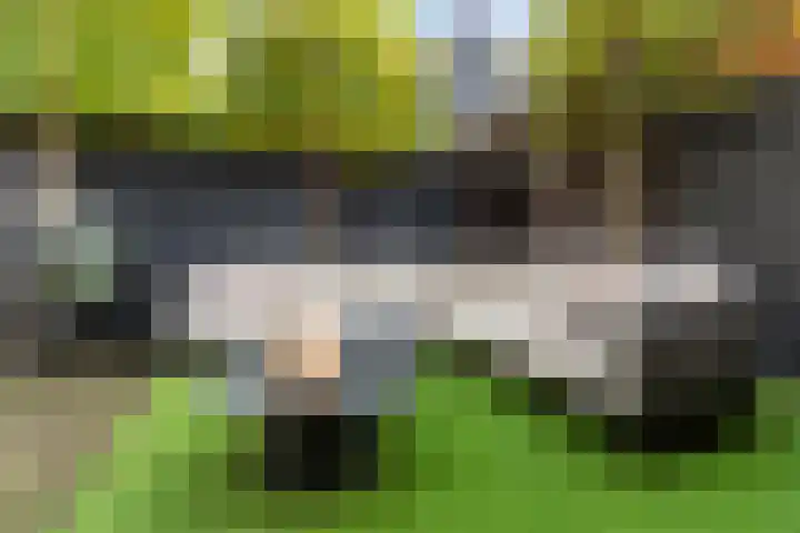 Kievitstraat 5 Numansdorp thumbnail 35