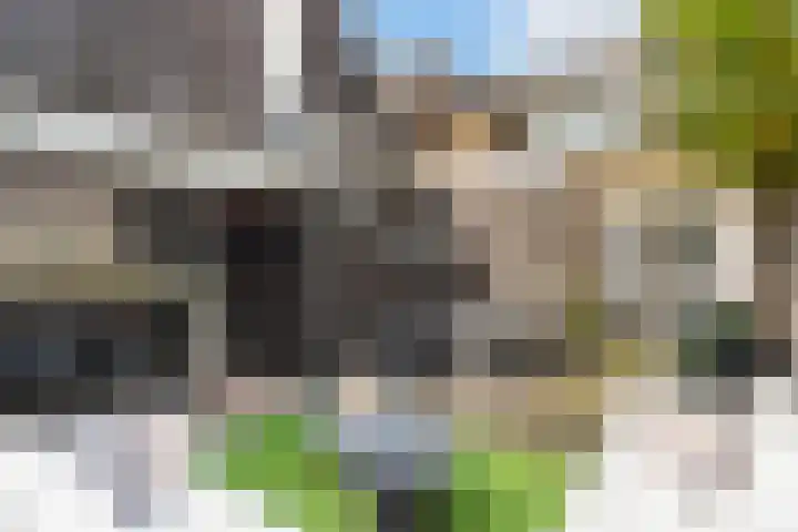 Kievitstraat 5 Numansdorp thumbnail 36
