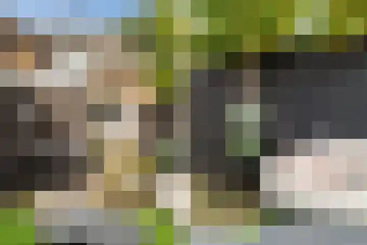 Kievitstraat 5 Numansdorp thumbnail 37