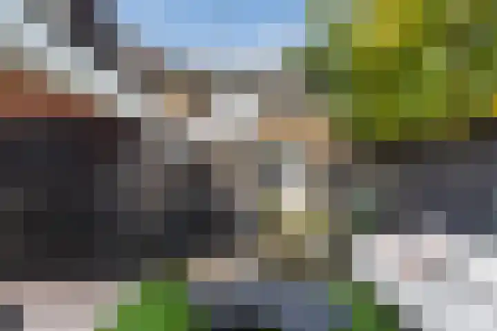 Kievitstraat 5 Numansdorp thumbnail 38