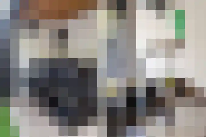 Kievitstraat 5 Numansdorp thumbnail 40