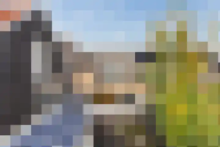 Kievitstraat 5 Numansdorp thumbnail 41