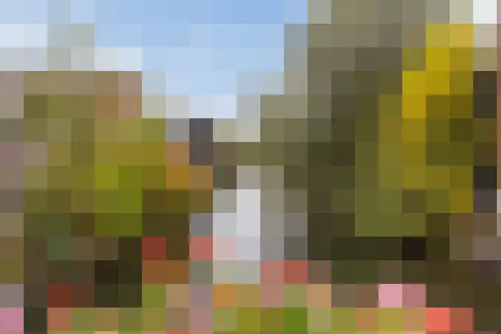 Kievitstraat 5 Numansdorp thumbnail 43