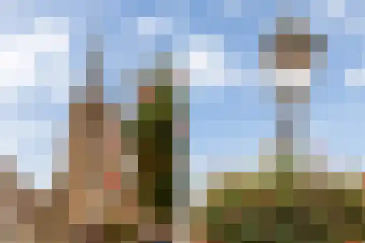 Kievitstraat 5 Numansdorp thumbnail 44