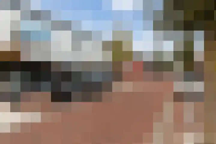 Kievitstraat 5 Numansdorp thumbnail 46