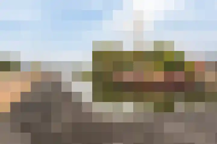 Kievitstraat 5 Numansdorp thumbnail 47