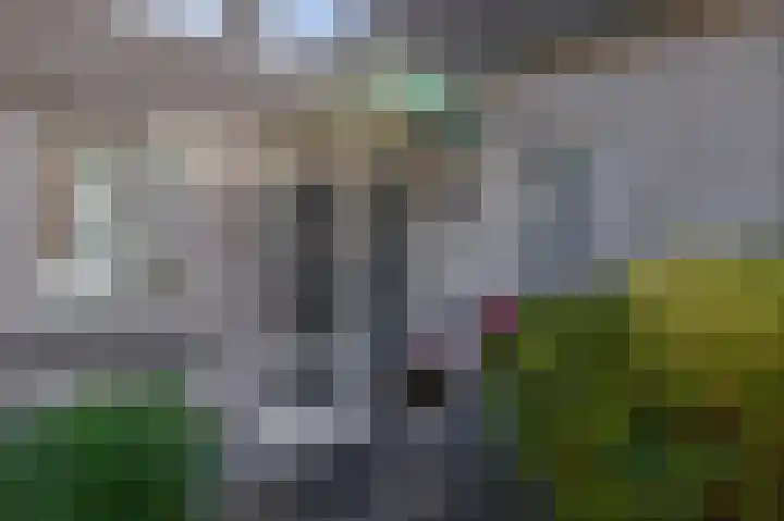Kievitstraat 5 Piershil thumbnail 10