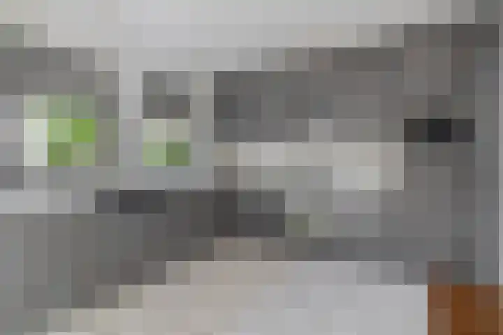 Kievitstraat 5 Piershil thumbnail 22