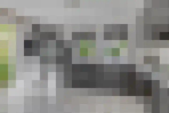 Kievitstraat 5 Piershil thumbnail 23