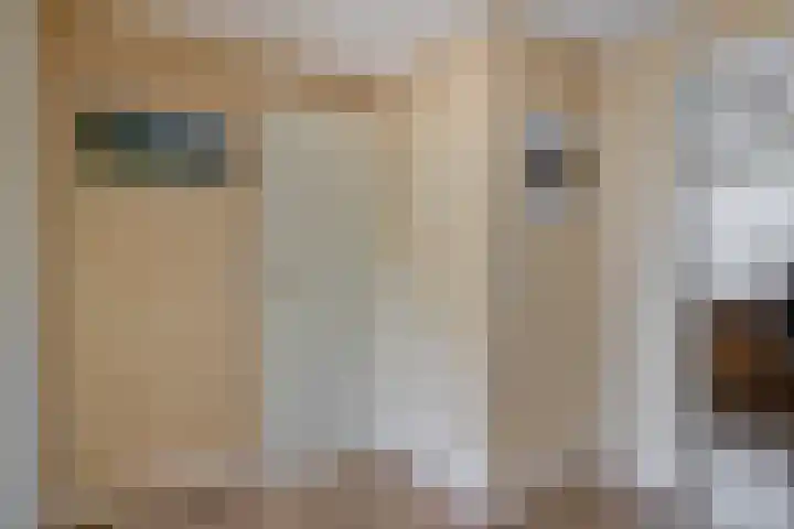 Kievitstraat 5 Piershil thumbnail 31