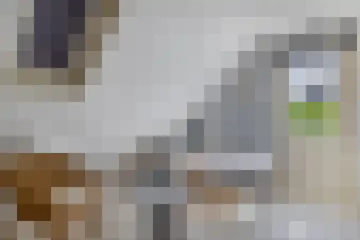 Kievitstraat 5 Piershil thumbnail 32