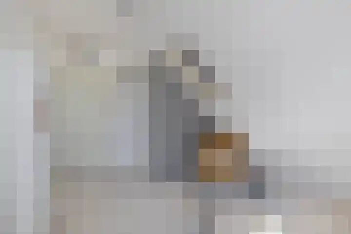 Kievitstraat 5 Piershil thumbnail 33