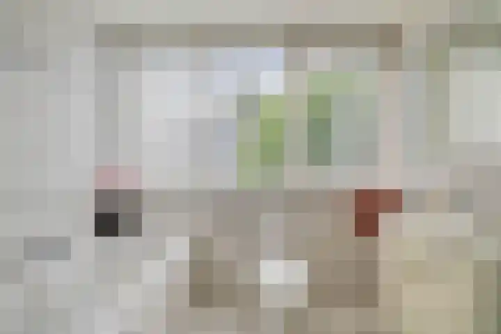Kievitstraat 5 Piershil thumbnail 39