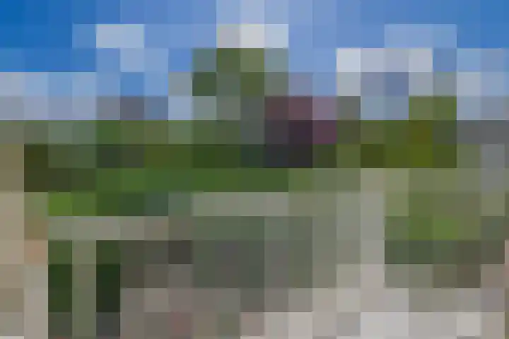 Kievitstraat 5 Piershil thumbnail 43