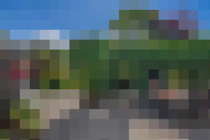 Kievitstraat 5 Piershil thumbnail 45