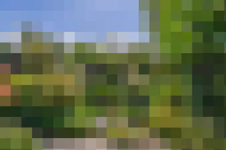 Kievitstraat 5 Piershil thumbnail 48