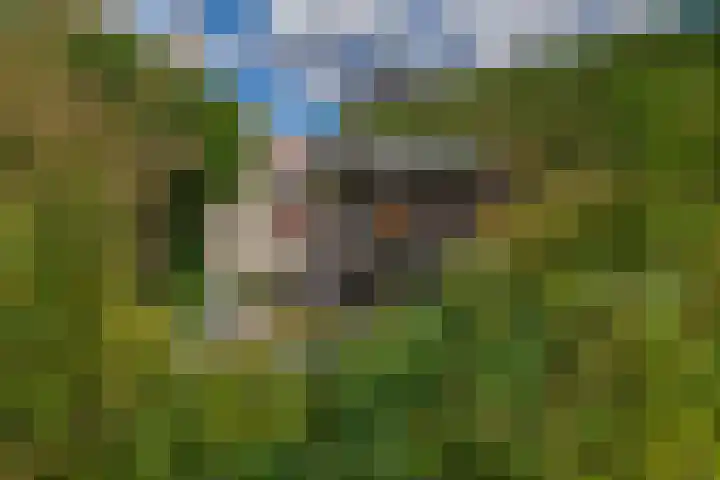 Kievitstraat 5 Piershil thumbnail 51