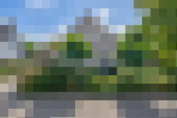 Kievitstraat 5 Piershil thumbnail 7