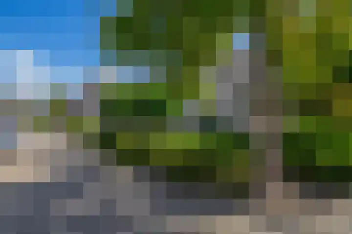 Kievitstraat 5 Piershil thumbnail 9
