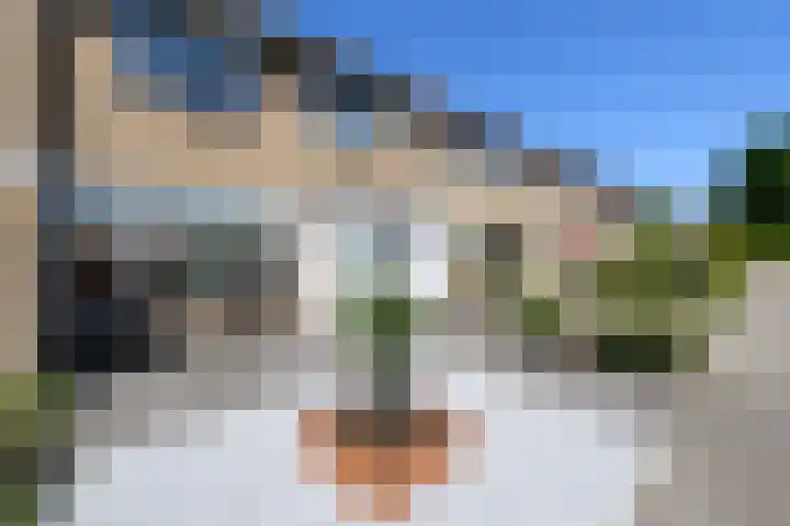 Kievitstraat 53 Heerenveen thumbnail 5