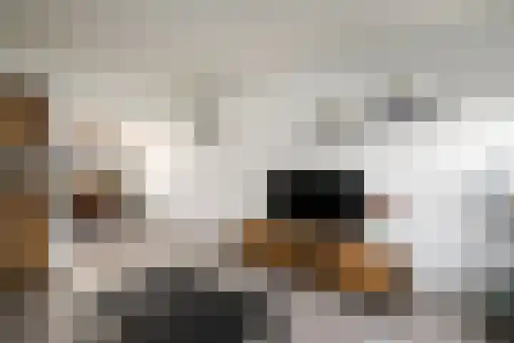 Kievitstraat 53 Heerenveen thumbnail 7