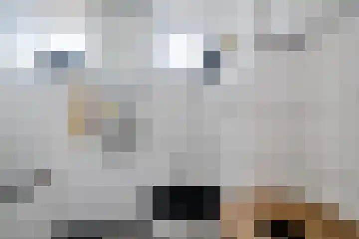 Kievitstraat 54 Hengelo thumbnail 13
