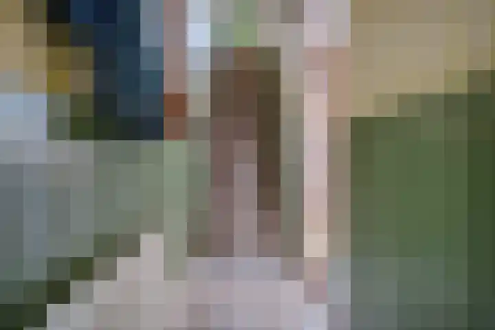 Kievitstraat 54 Hengelo thumbnail 17