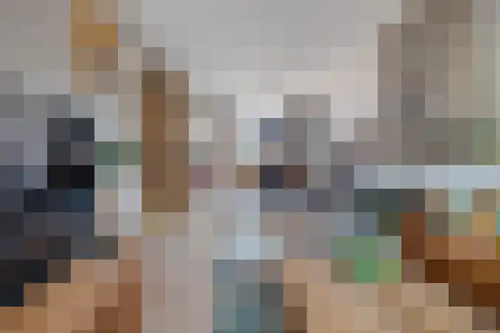 Kievitstraat 54 Hengelo thumbnail 7