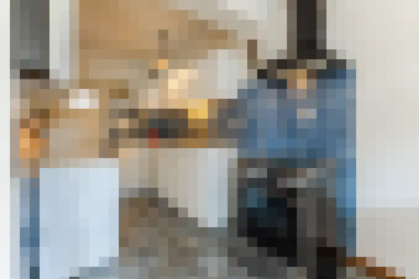 Kievitstraat 55 Geldrop thumbnail 12