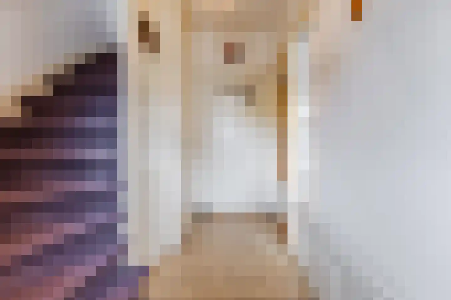 Kievitstraat 55 Geldrop thumbnail 16