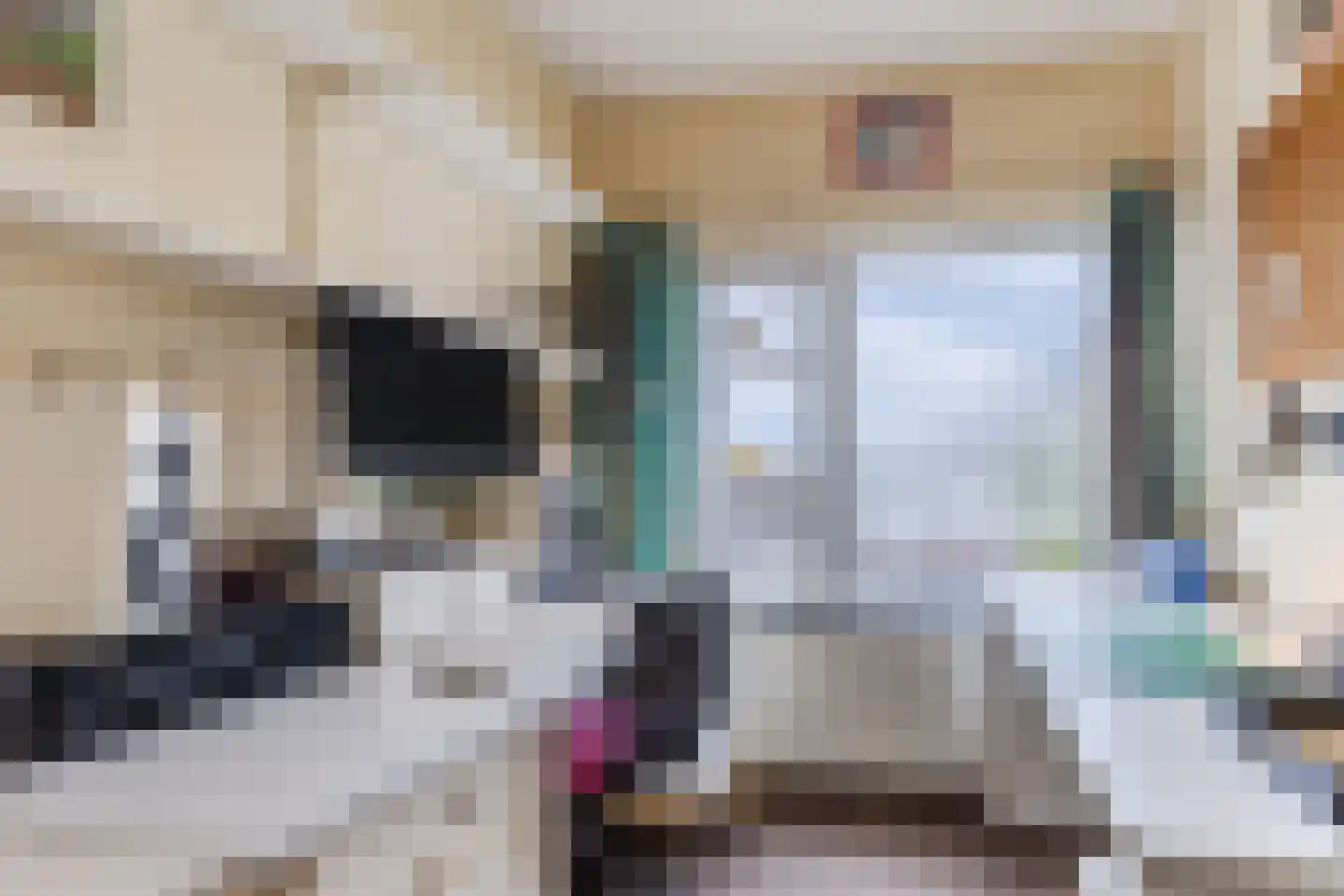 Kievitstraat 55 Geldrop thumbnail 22