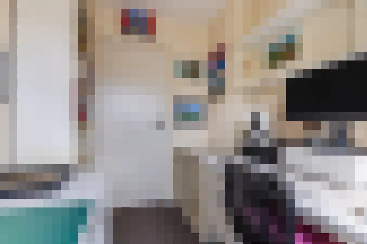 Kievitstraat 55 Geldrop thumbnail 23
