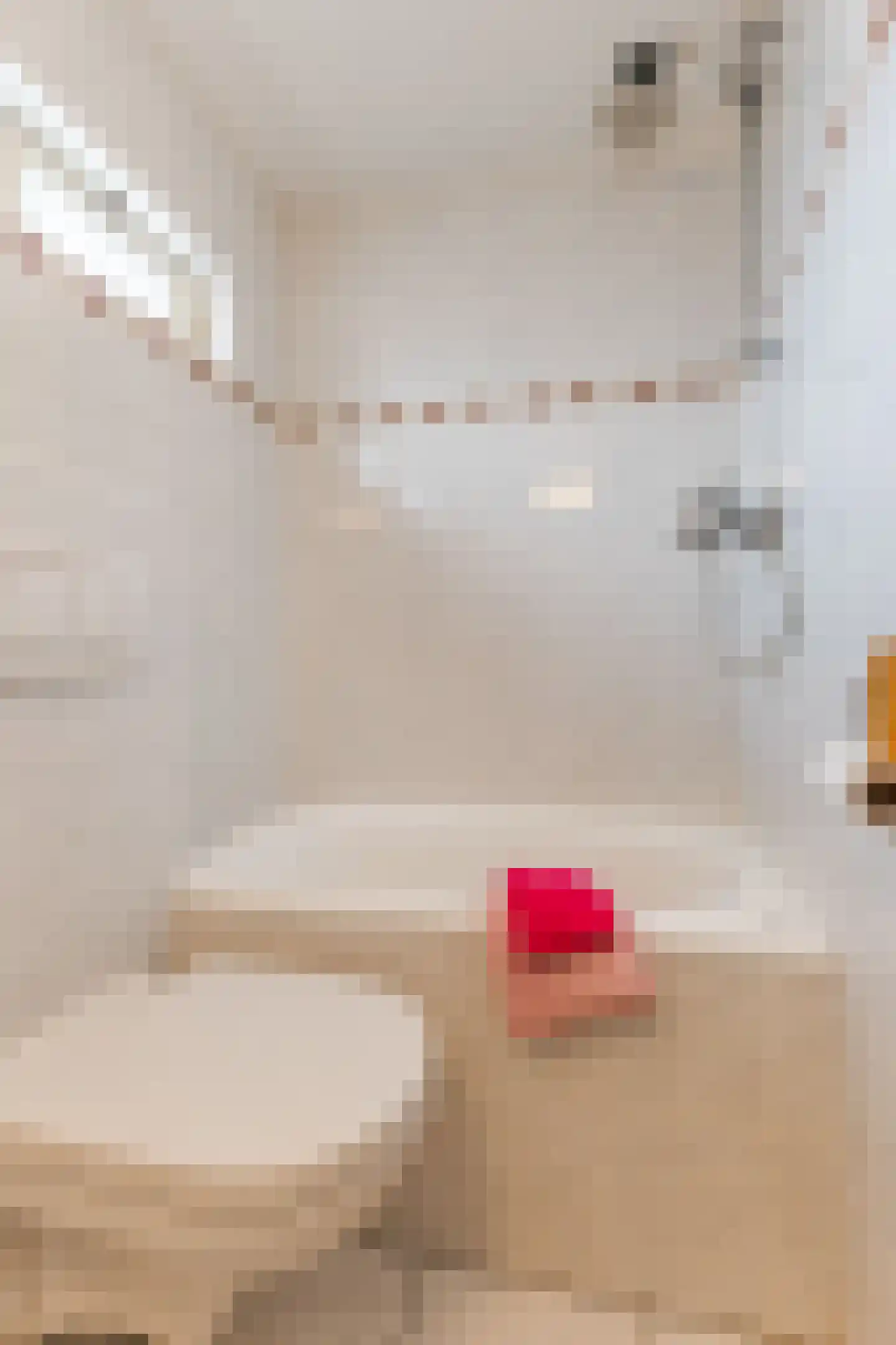 Kievitstraat 55 Geldrop thumbnail 26