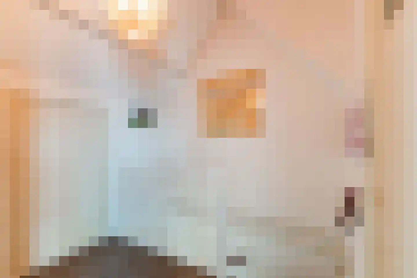 Kievitstraat 55 Geldrop thumbnail 28