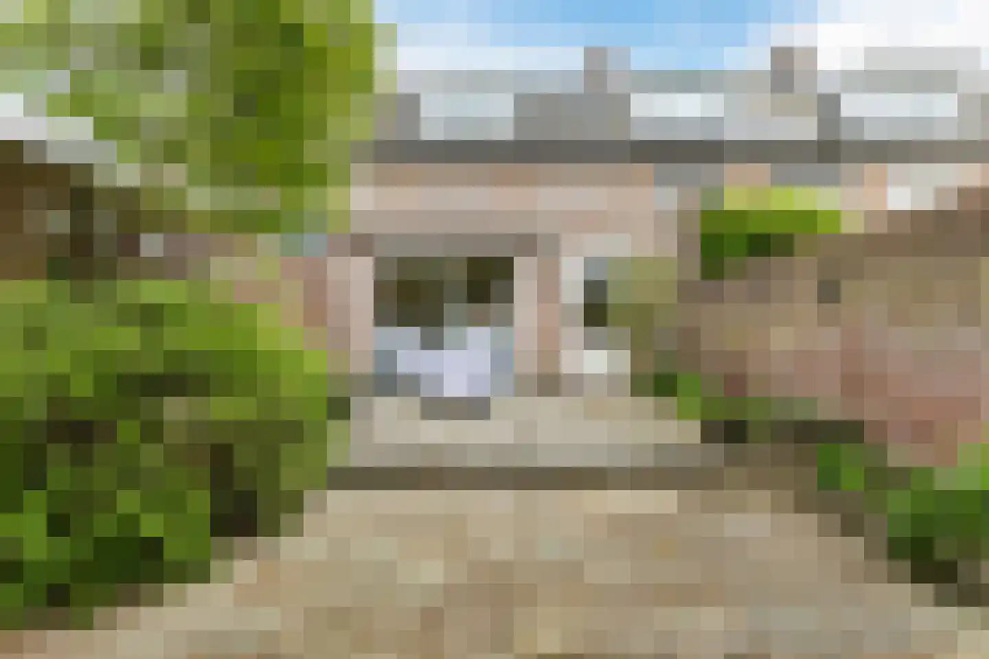 Kievitstraat 55 Geldrop thumbnail 35