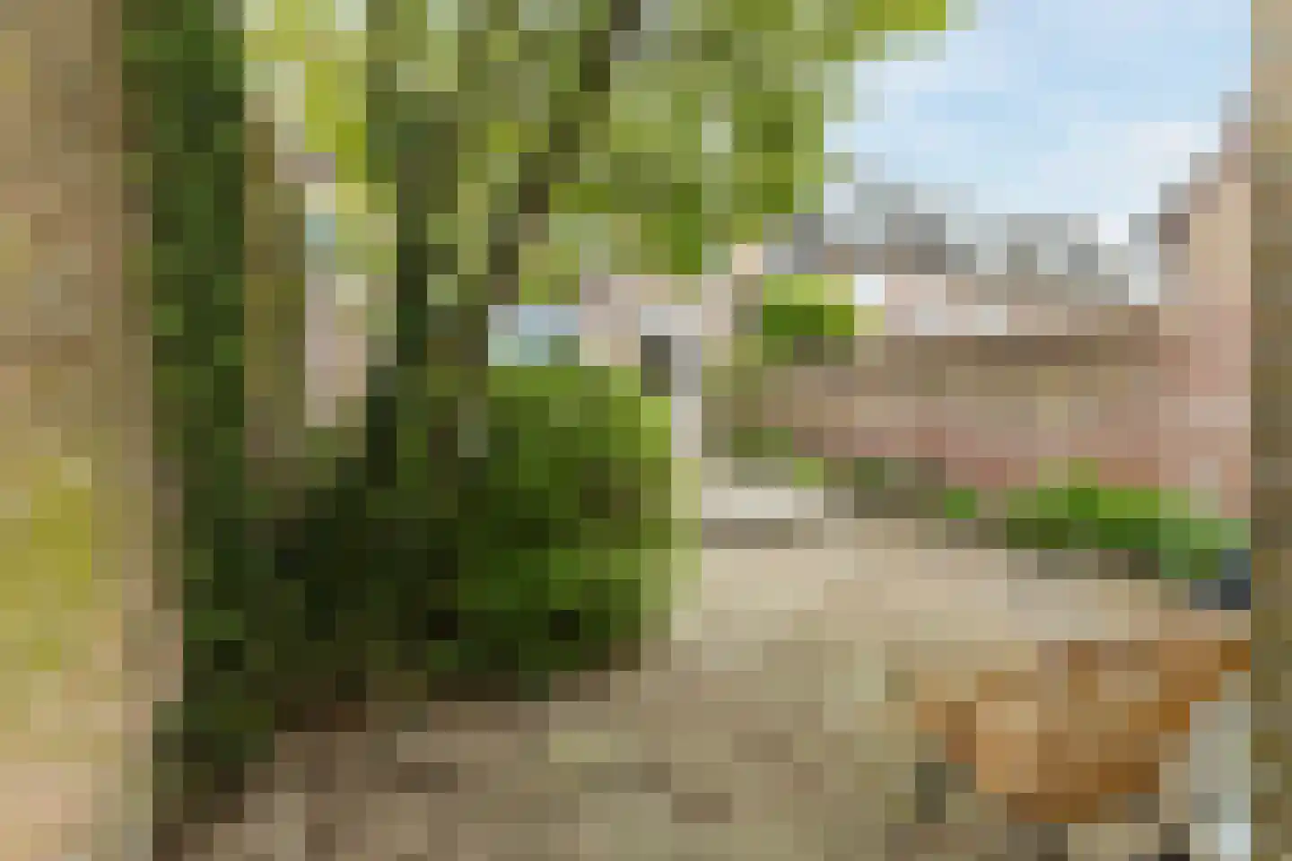 Kievitstraat 55 Geldrop thumbnail 37