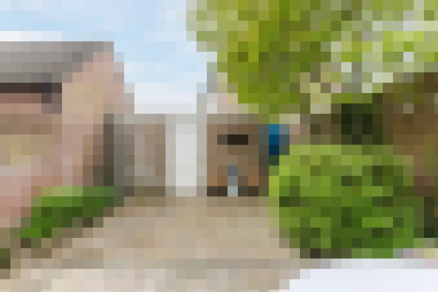 Kievitstraat 55 Geldrop thumbnail 39