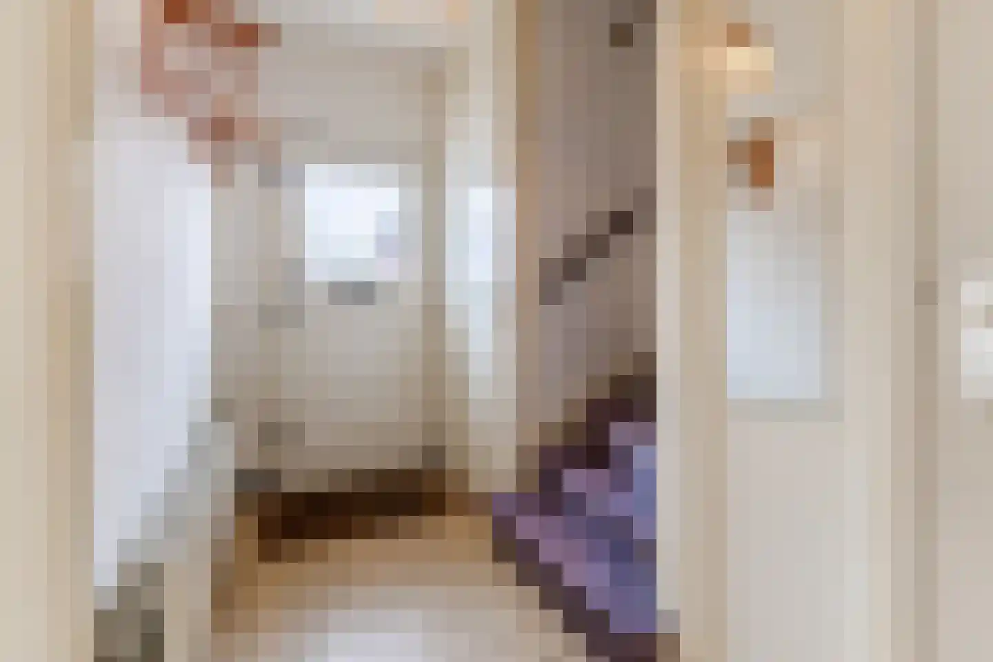 Kievitstraat 55 Geldrop thumbnail 4