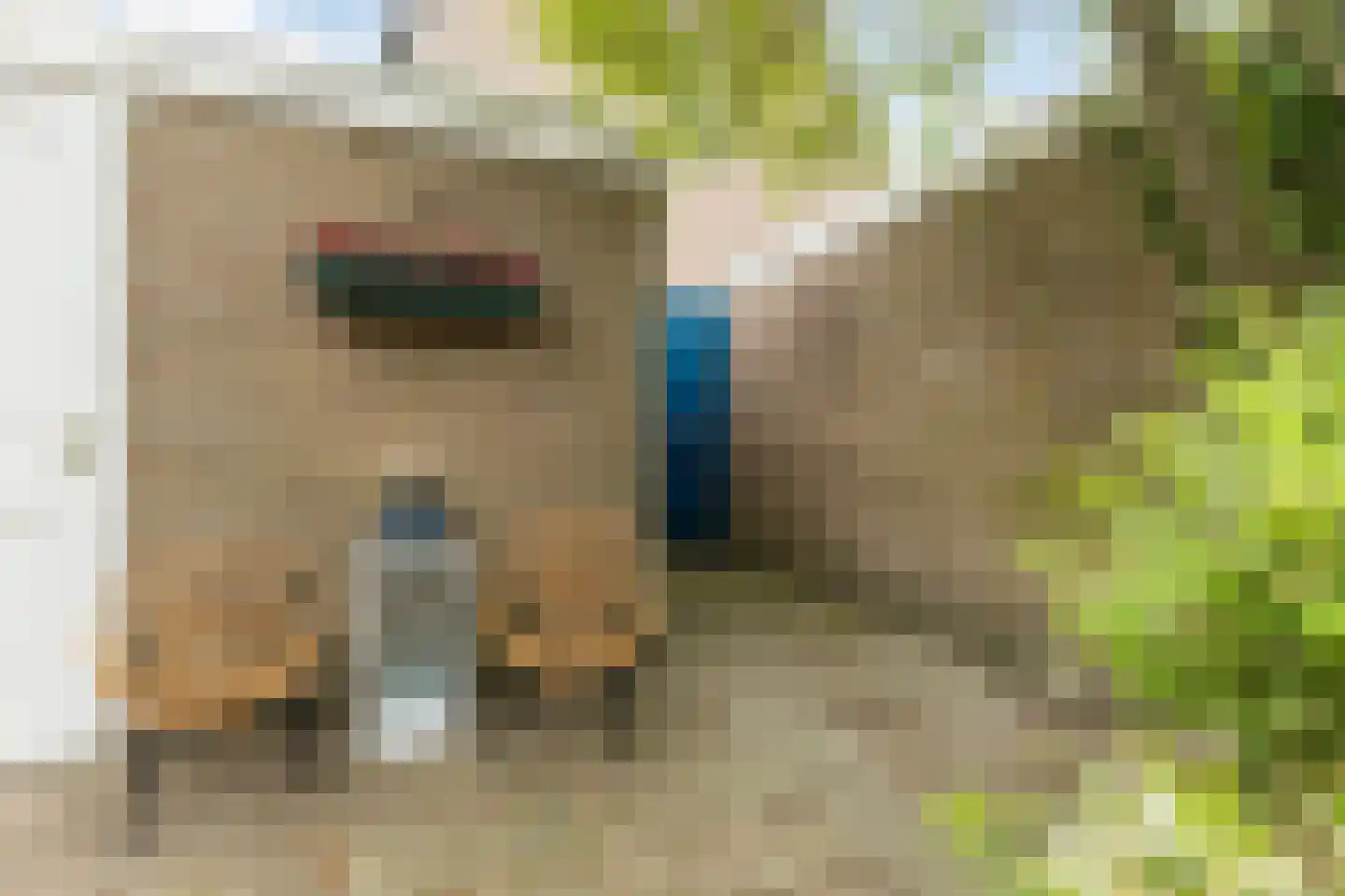 Kievitstraat 55 Geldrop thumbnail 40
