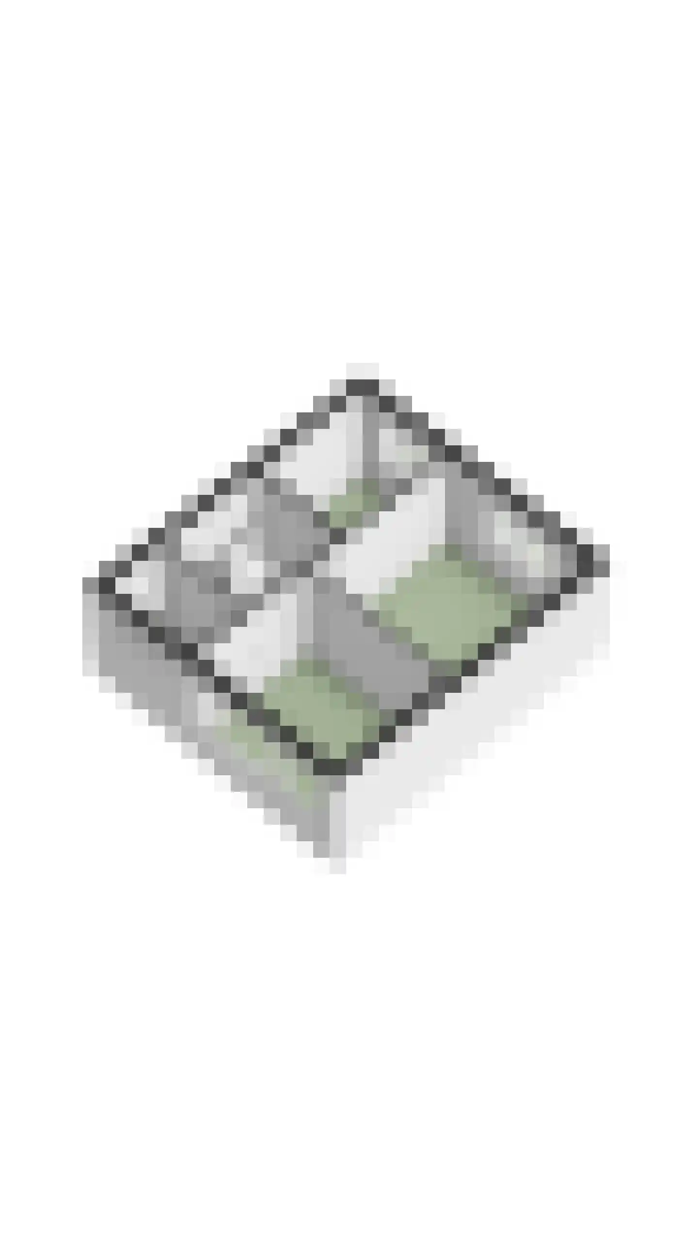 Kievitstraat 55 Geldrop thumbnail 49