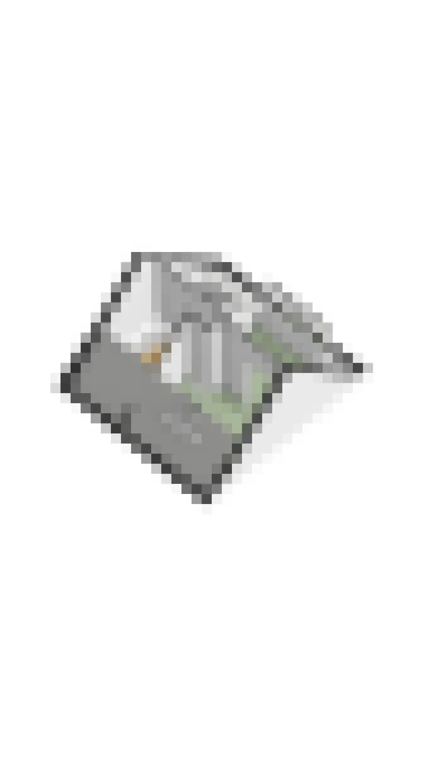 Kievitstraat 55 Geldrop thumbnail 50