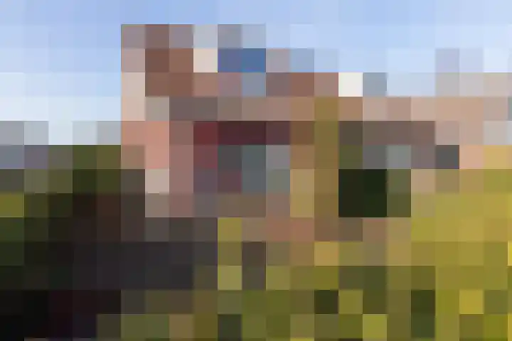 Kievitstraat 56 a Neede thumbnail 31
