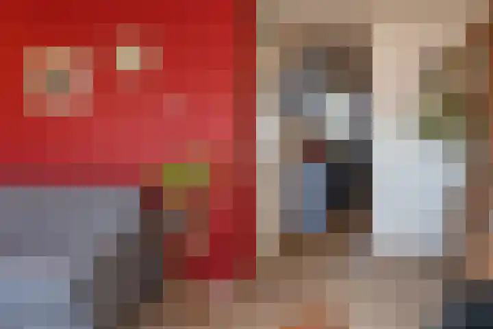Kievitstraat 56 a Neede thumbnail 6