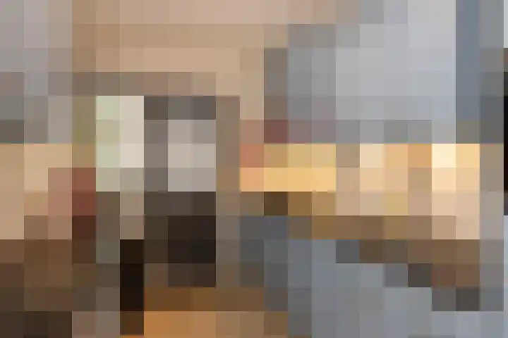 Kievitstraat 56 a Neede thumbnail 8