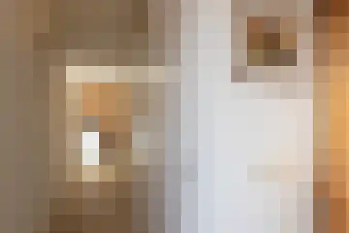 Kievitstraat 56 a Neede thumbnail 9